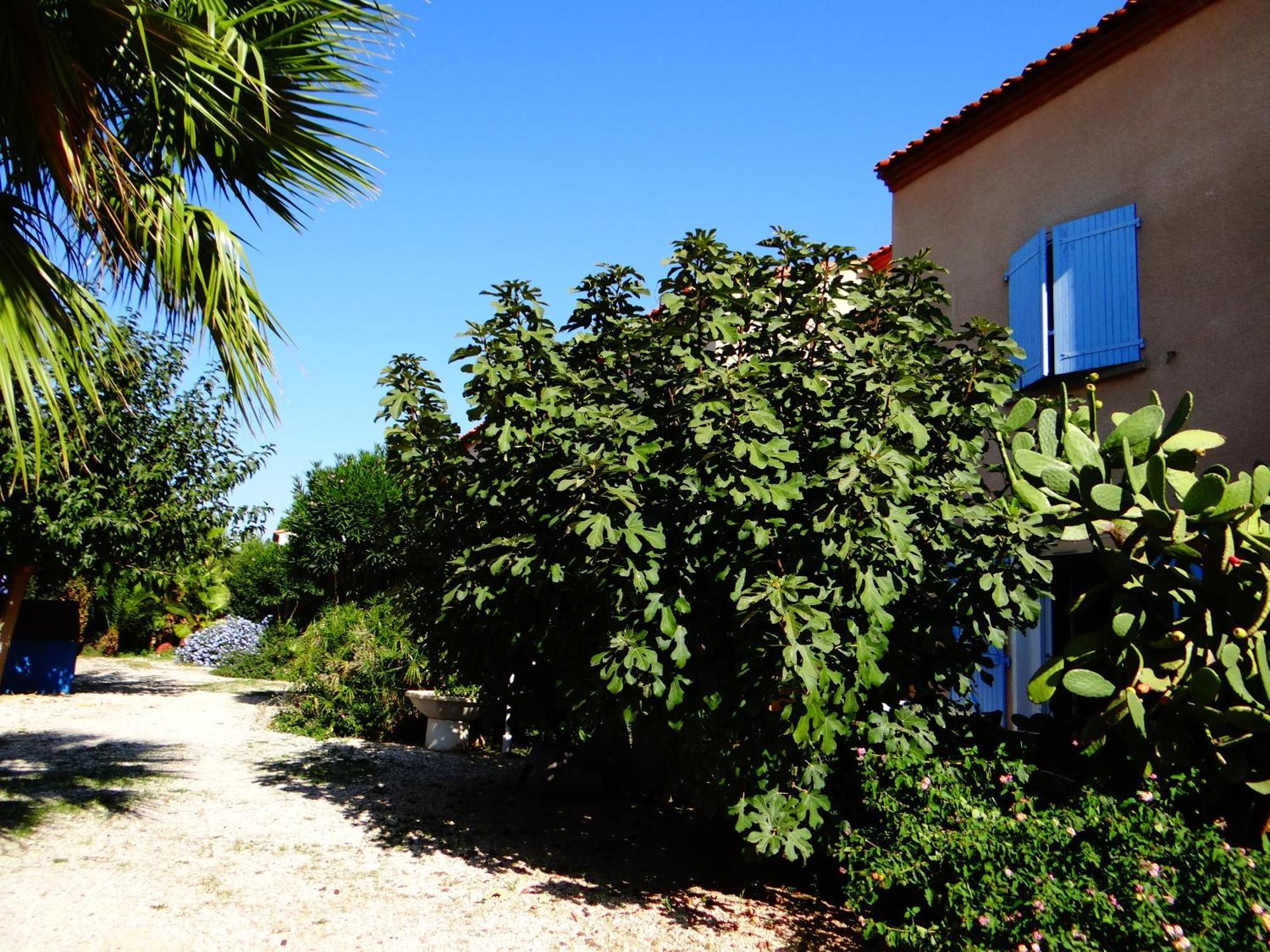 Residence L'Orangeraie-2-Claira 66530 Eksteriør billede